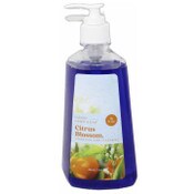Wholesale - 15 fl.oz CITRUS BLOSSOM HAND SOAP C/P 12, UPC: 817572025252